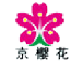 京樱花散热器