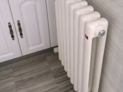 家用双管铜铝复合暖气片好吗？