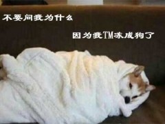 供暖开始了 你家的暖气片开始热了吗